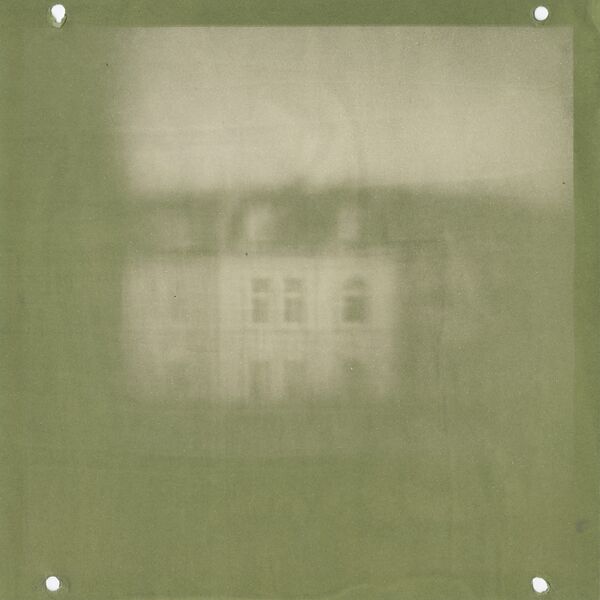 Datei:Chlorophyll exposed 40mm0.jpg