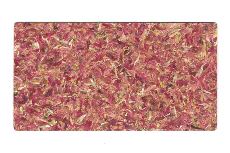 Datei:Cornflower Blossoms Red 1.jpg