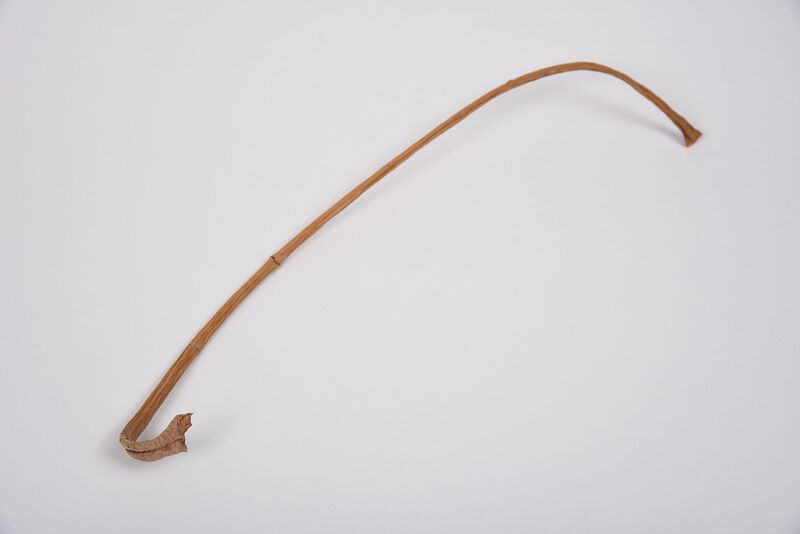 Datei:Organisch3 10.jpg