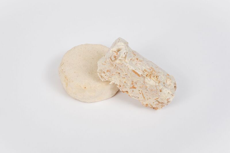 Datei:Organisch1 14.jpg