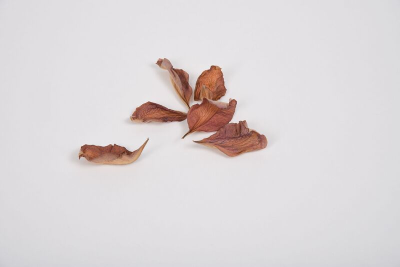 Datei:Organisch3 16.jpg