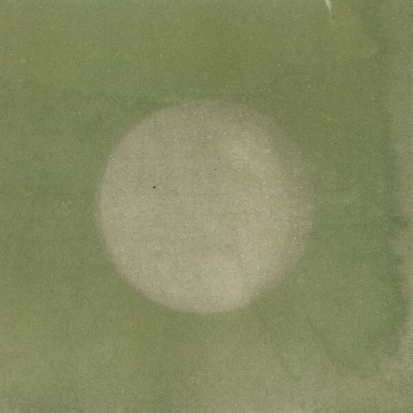 Datei:Chlorophyll exposed sample1.jpg