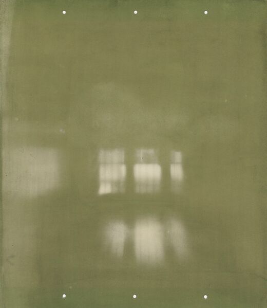 Datei:Chlorophyll exposed fresnel.jpg