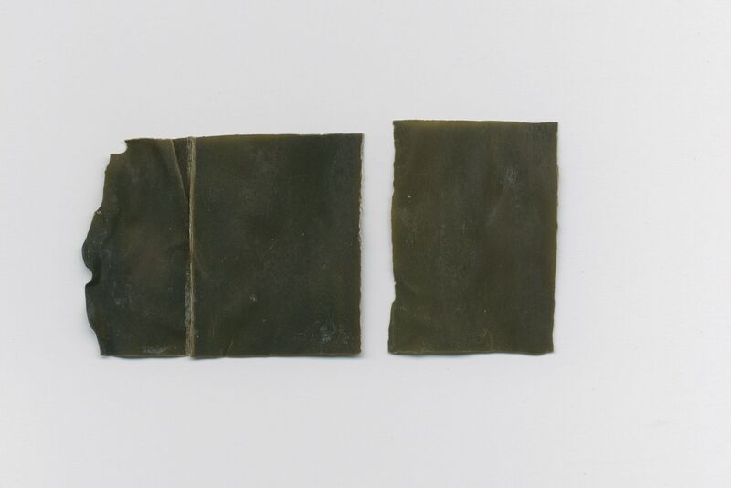 Datei:Organisch1 16.jpg