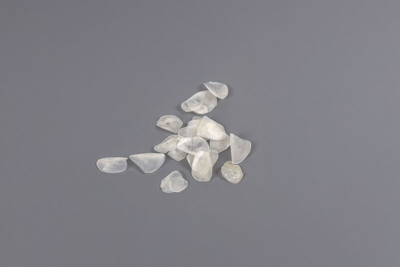 Datei:Organisch3 15.jpg